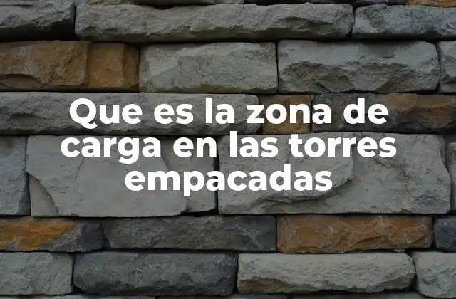 Que es la Zona de Carga en las Torres Empacadas