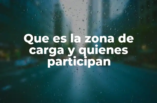 Que es la Zona de Carga y Quienes Participan