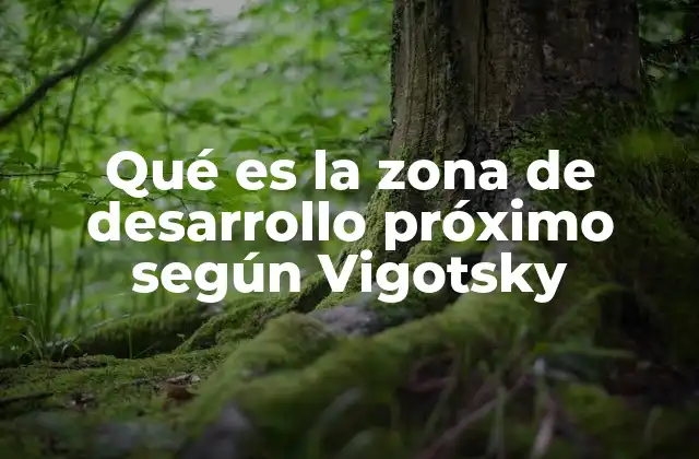 Qué es la Zona de Desarrollo Próximo según Vigotsky 2 La importancia del apoyo en el proceso de aprendizaje