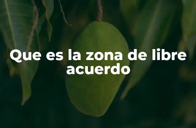 Que es la Zona de Libre Acuerdo