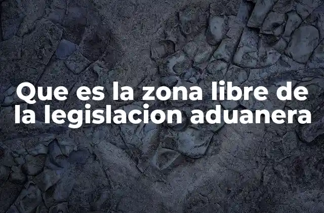 Que es la Zona Libre de la Legislacion Aduanera