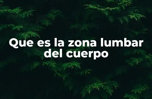 Que es la Zona Lumbar Del Cuerpo