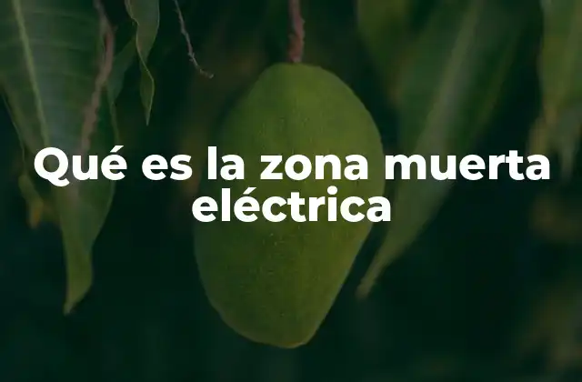 Qué es la Zona Muerta Eléctrica