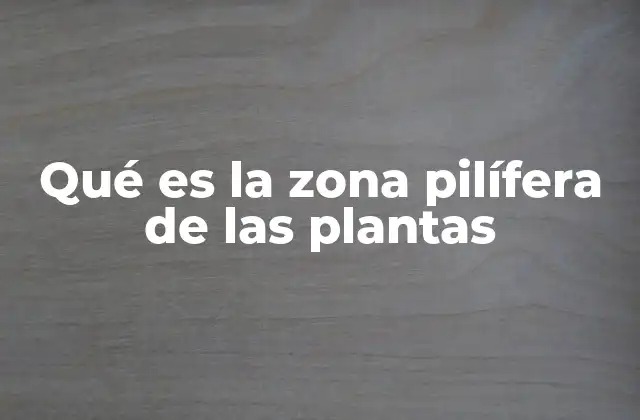 Qué es la Zona Pilífera de las Plantas