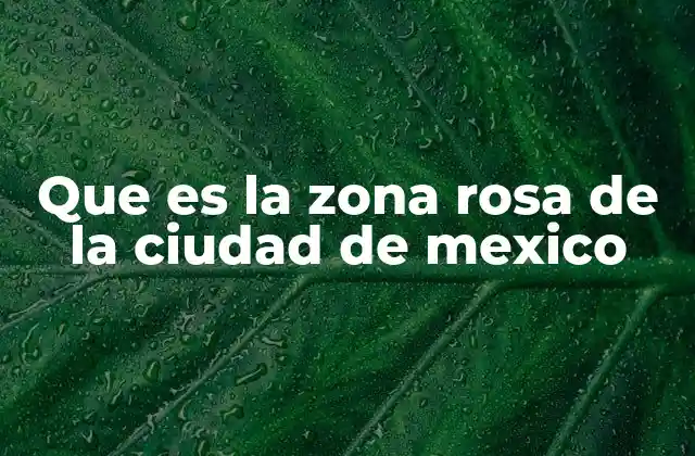 Que es la Zona Rosa de la Ciudad de Mexico
