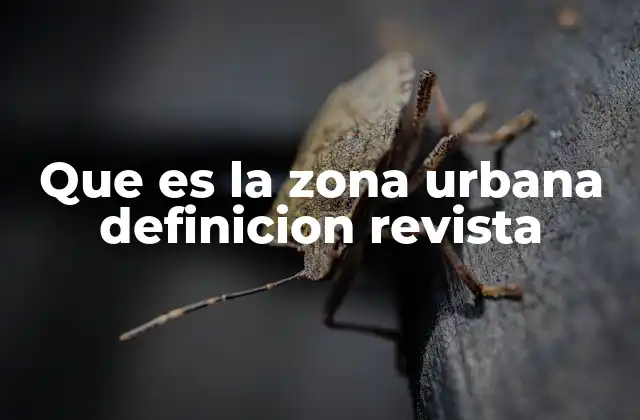 Que es la Zona Urbana Definicion Revista