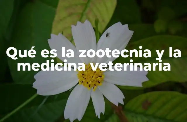 Qué es la Zootecnia y la Medicina Veterinaria