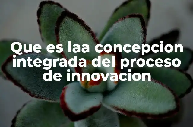 Que es Laa Concepcion Integrada Del Proceso de Innovacion