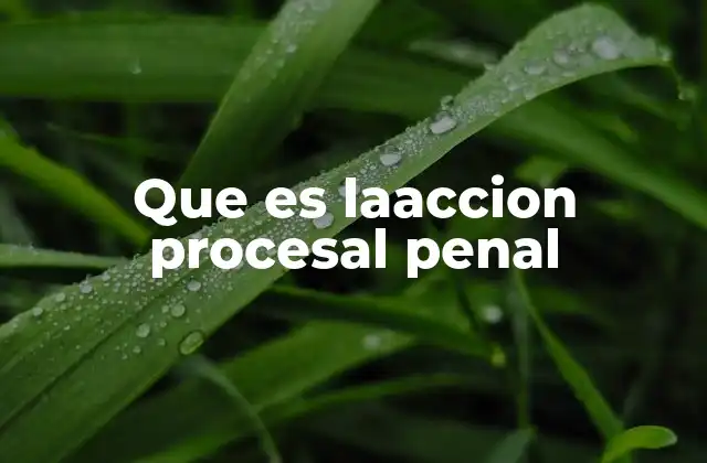 Que es Laaccion Procesal Penal