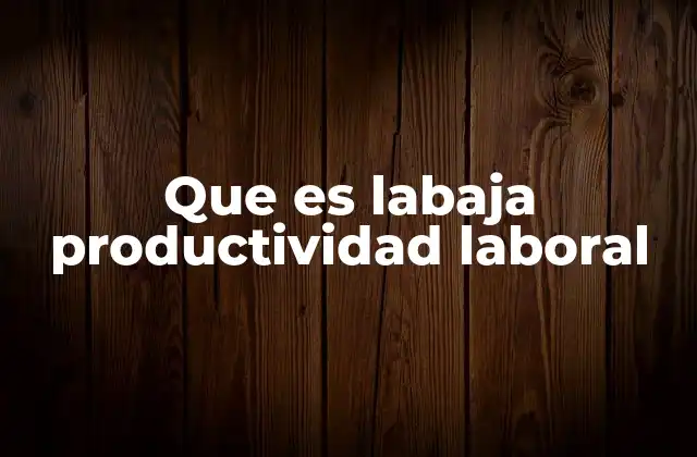 Que es Labaja Productividad Laboral