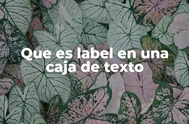 Que es Label en una Caja de Texto