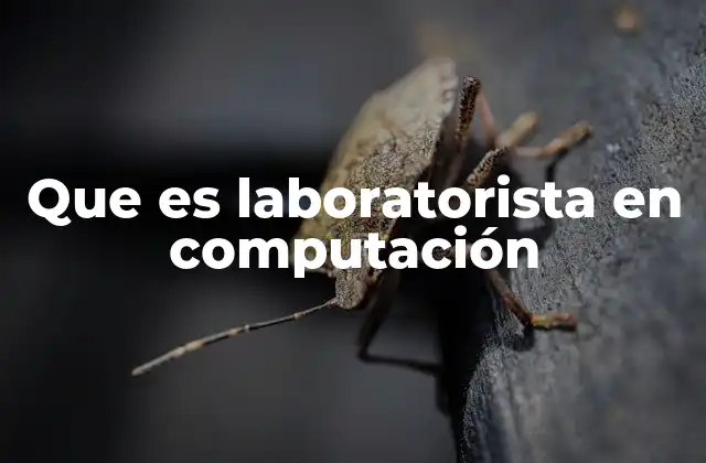 Que es Laboratorista en Computación