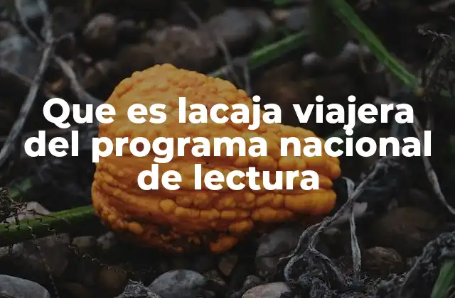 Que es Lacaja Viajera Del Programa Nacional de Lectura