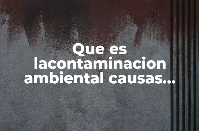 Que es Lacontaminacion Ambiental Causas Yefectos