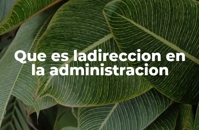 Que es Ladireccion en la Administracion