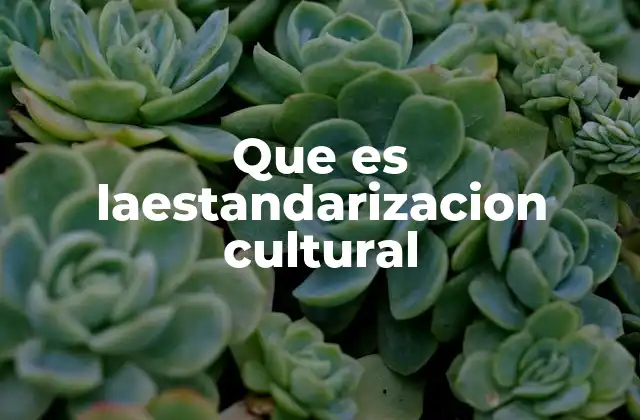 Que es Laestandarizacion Cultural