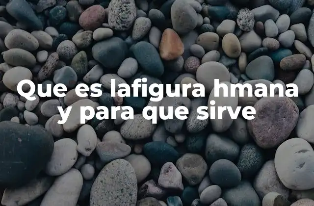 Que es Lafigura Hmana y para que Sirve