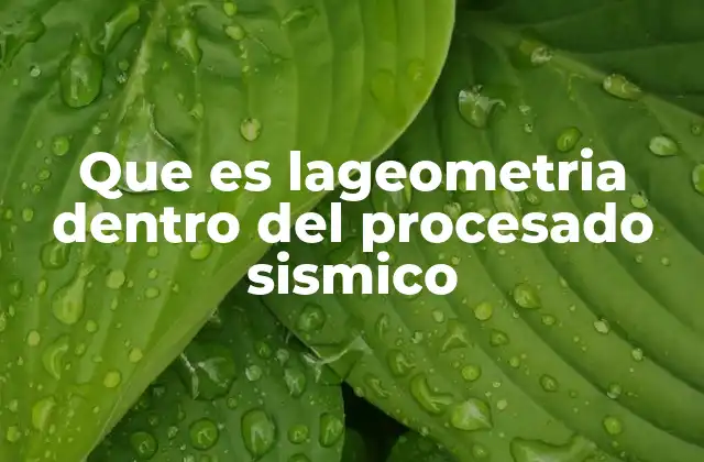 Que es Lageometria Dentro Del Procesado Sismico