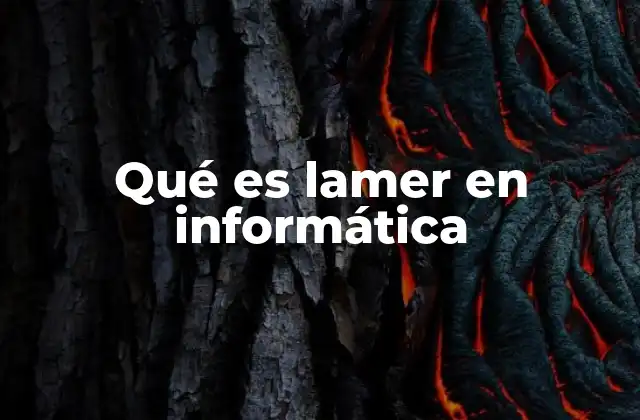 Qué es Lamer en Informática 2 El lamer en el contexto de la programación y el desarrollo de software