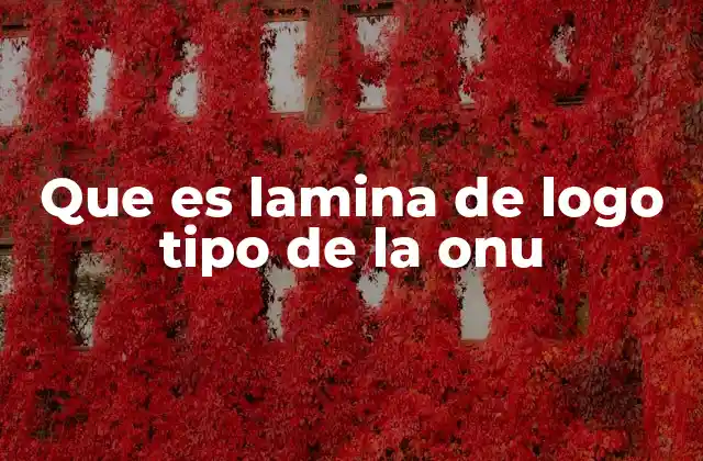 Que es Lamina de Logo Tipo de la Onu