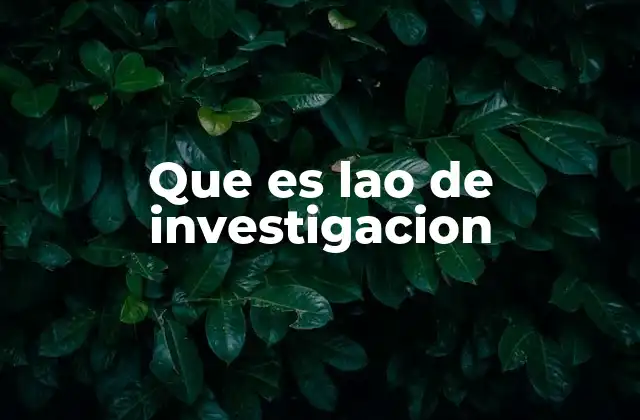Que es Lao de Investigacion