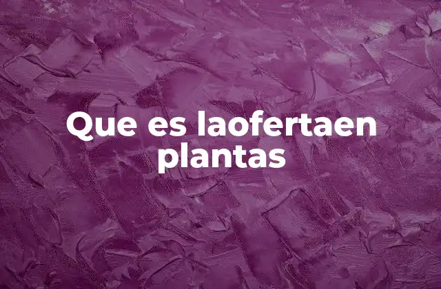 Que es Laofertaen Plantas 2 El impacto de la oferta de plantas en el mercado local