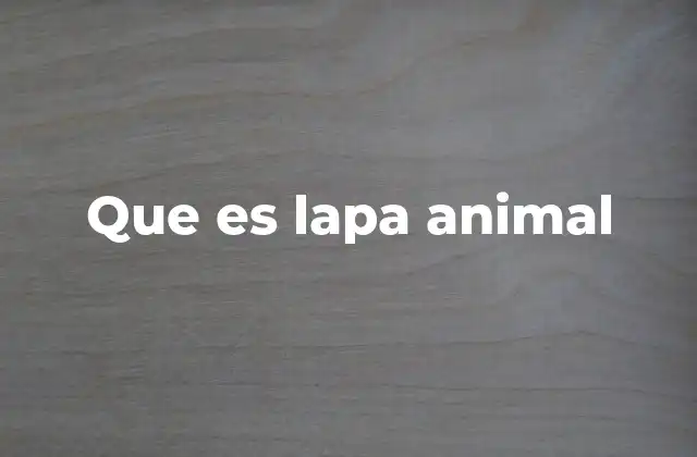 Que es Lapa Animal