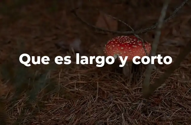 Que es Largo y Corto