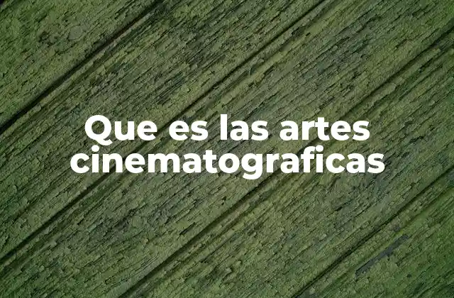 Que es las Artes Cinematograficas