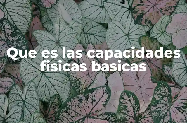 Que es las Capacidades Fisicas Basicas