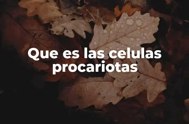 Que es las Celulas Procariotas 2 Características esenciales de las células procariotas