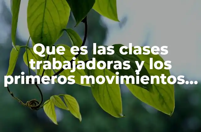 Que es las Clases Trabajadoras y los Primeros Movimientos Obreros