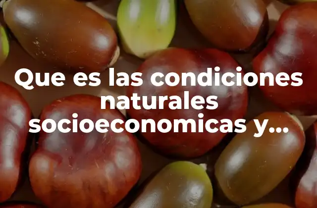 Que es las Condiciones Naturales Socioeconomicas y Calidad de Vida