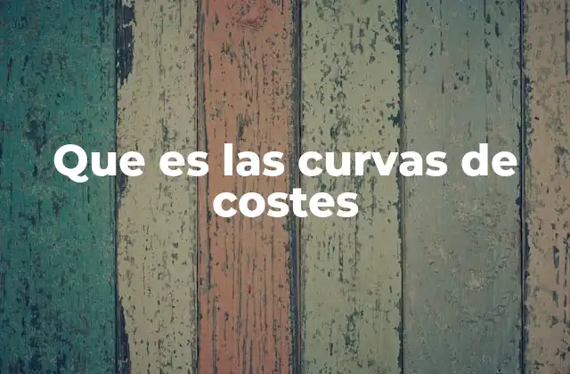 Que es las Curvas de Costes