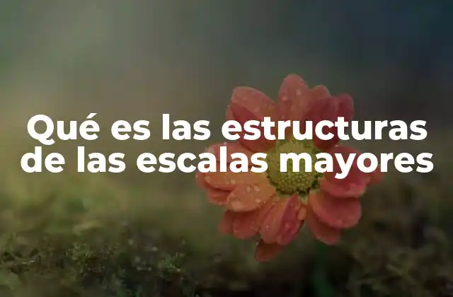 La base de la música tonal y cómo se construye una escala mayor
