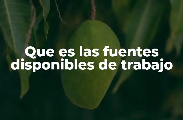 Que es las Fuentes Disponibles de Trabajo