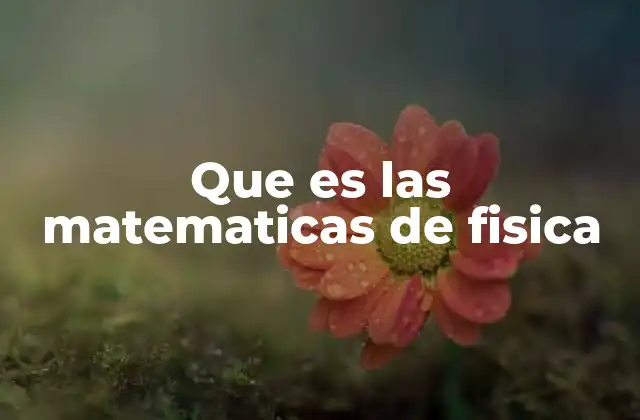 Que es las Matematicas de Fisica