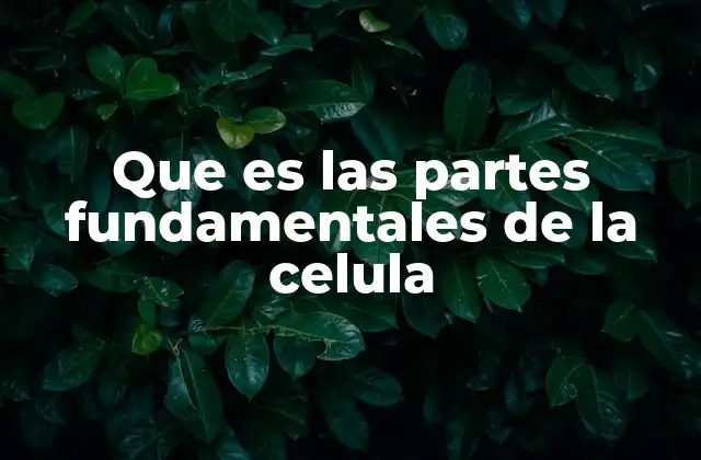 Que es las Partes Fundamentales de la Celula