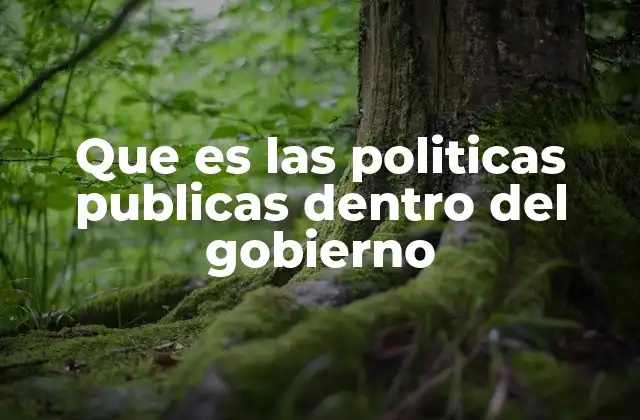 Que es las Politicas Publicas Dentro Del Gobierno 2 El rol del gobierno en el diseño e implementación de políticas públicas