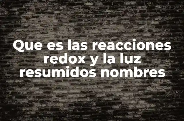 La relación entre la energía química y la energía lumínica