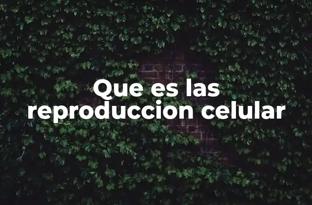 Que es las Reproduccion Celular