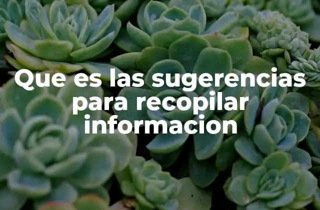 Que es las Sugerencias para Recopilar Informacion