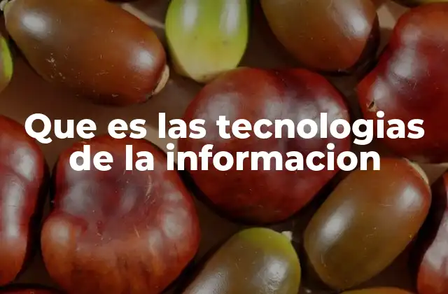 Que es las Tecnologias de la Informacion