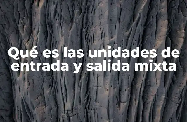 Qué es las Unidades de Entrada y Salida Mixta