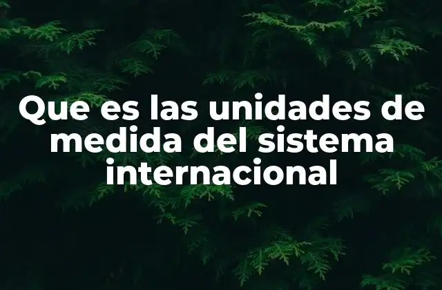 Que es las Unidades de Medida Del Sistema Internacional