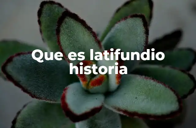 Que es Latifundio Historia