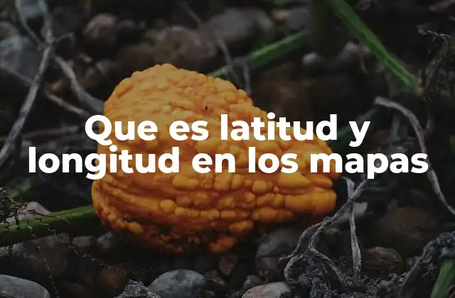 Que es Latitud y Longitud en los Mapas