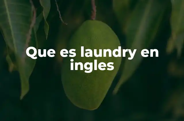 Que es Laundry en Ingles