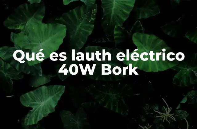 Qué es Lauth Eléctrico 40w Bork 2 Funcionamiento del lauth eléctrico 40W Bork