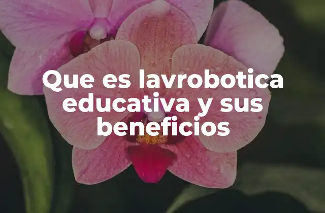 Que es Lavrobotica Educativa y Sus Beneficios